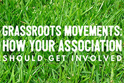 Grassroots Movements: How Your Association Should Get Involved