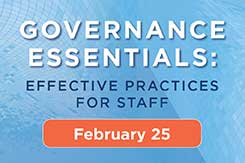 Get the Essentials of Good Governance for Your Organization