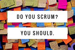Scrum: Build Teamwork and Drive Results