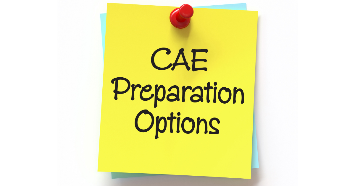 The Landscape of CAE Preparation Options