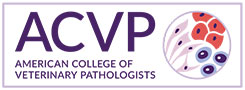 Welcome  ACVP, Our Newest Association Partner