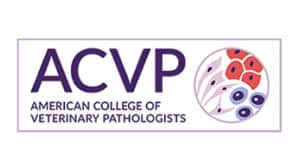 Logo - American College of Veterinary Pathologists